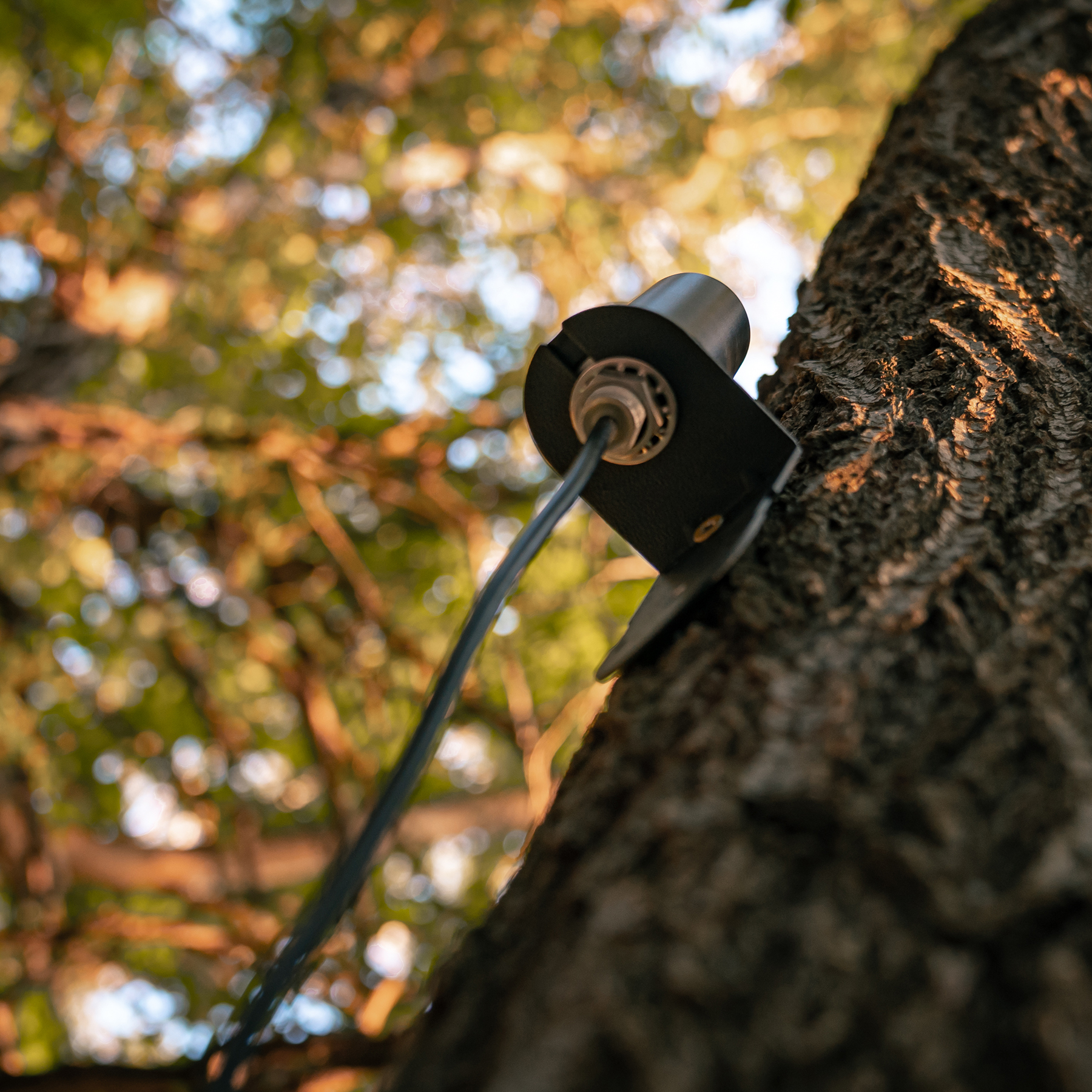 SPYPOINT CA-01 ārējā antena